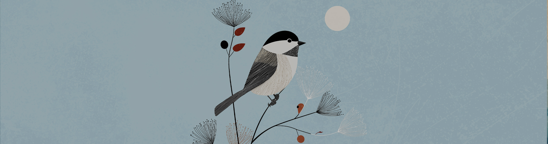 LE GRAND RECENSEMENT DES OISEAUX DE JARDIN